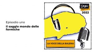 LA VOCE DELLA BALENA | ep. 1